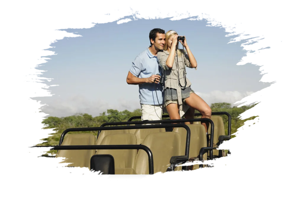 Honeymoon Safari Trip