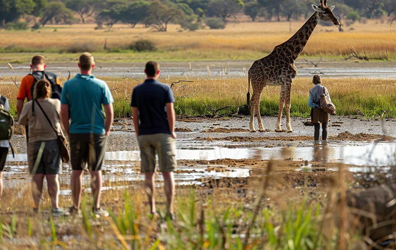 Walking Safari Mkomazi