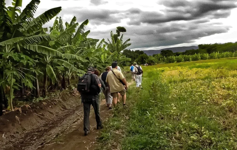 Village Walk Mto Wa Mbu