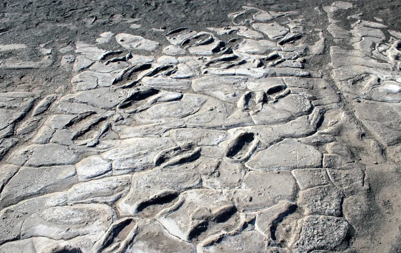 Laetoli Footprints