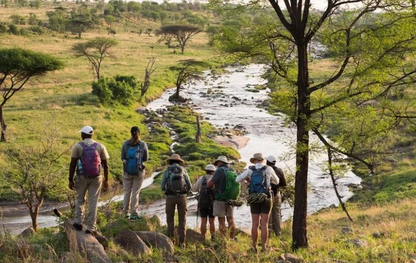 Arusha NP Walking Safari
