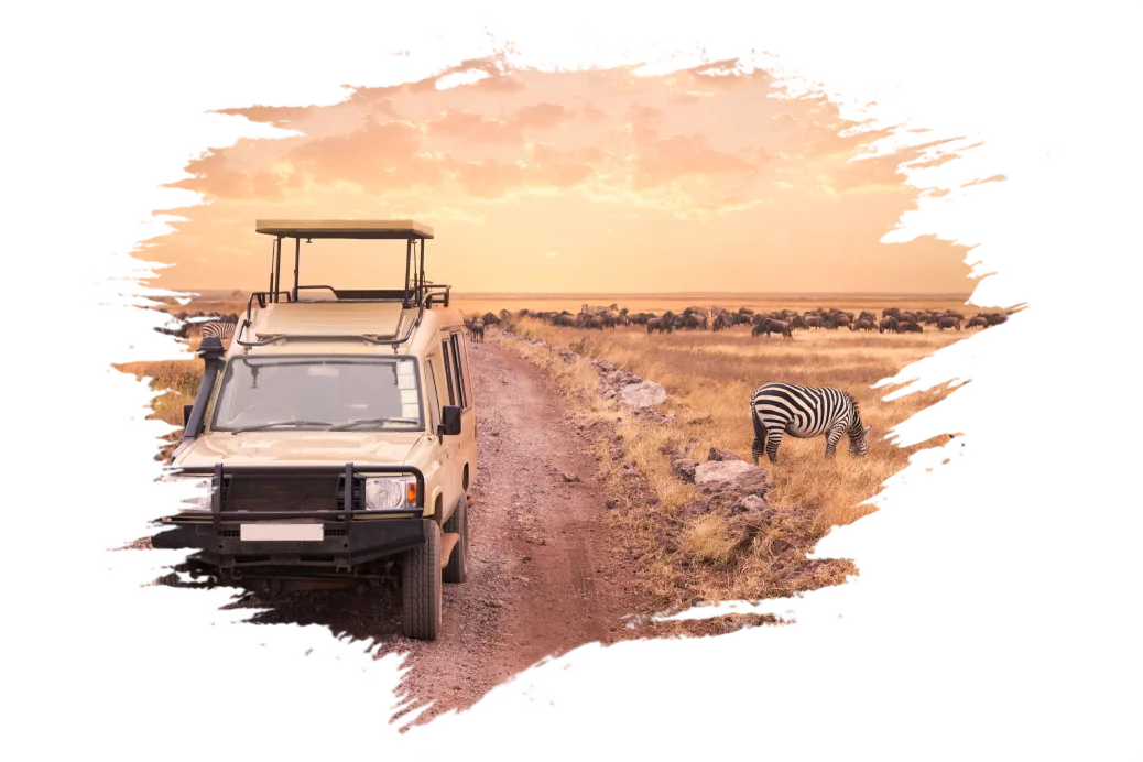 Big 5 Safari Trip Tanzania