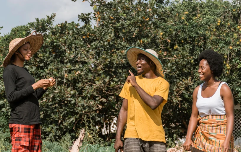 Coffee Farm Experience