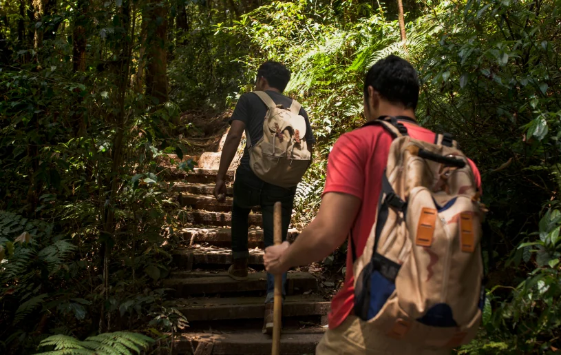 Marangu Rainforest Hike