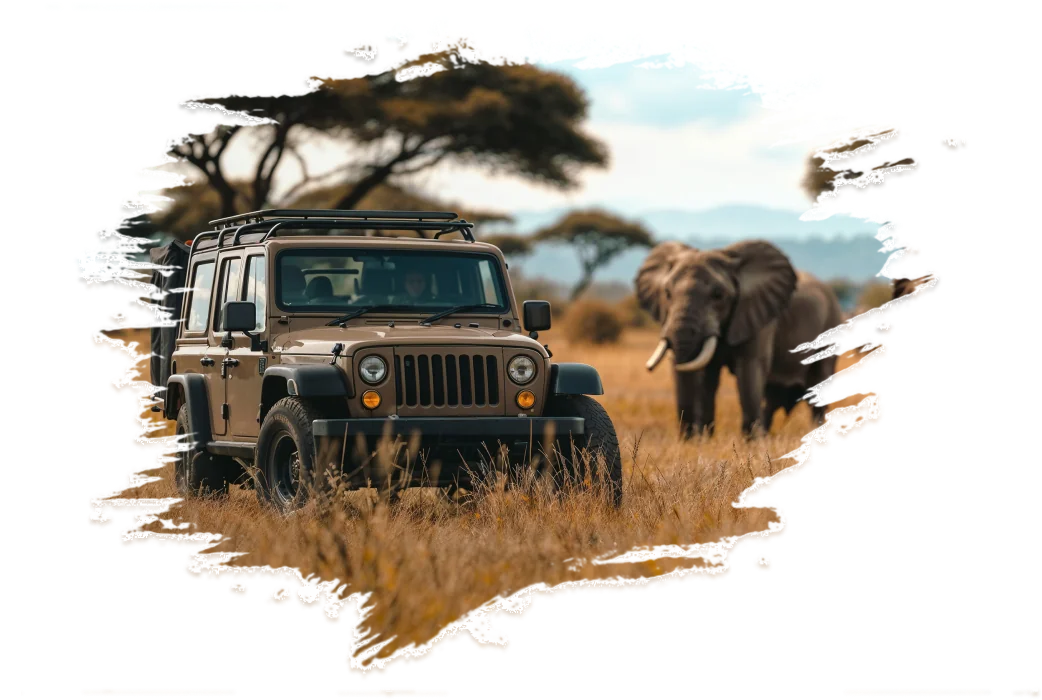 7 Day Safaris Trip Tanzania