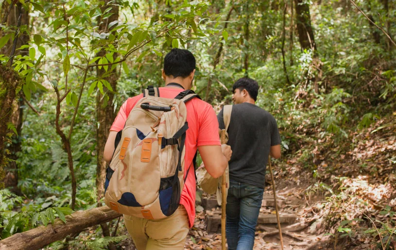 Forest Hike Mto Wa Mbu